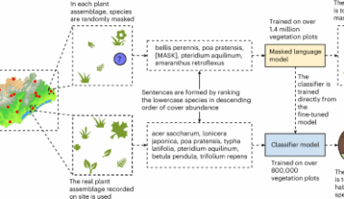 Learning the syntax of plant assemblages