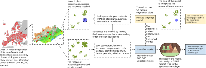Learning the syntax of plant assemblages