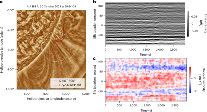 Evidence for small-scale torsional Alfvén waves in the solar corona
