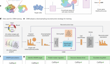 CellNavi predicts genes directing cellular transitions by learning a gene graph-enhanced cell state manifold