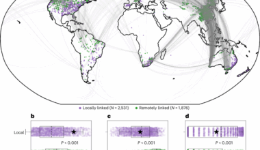 Synchronization of global peak river discharge since the 1980s