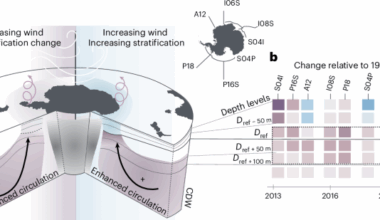 Southern Ocean freshening stalls deep ocean CO2 release in a changing climate