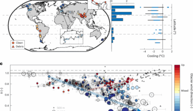 Mountain glaciers recouple to atmospheric warming over the twenty-first century