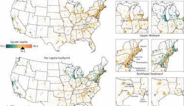 The carbon hoofprint of cities is shaped by geography and production in the livestock supply chain