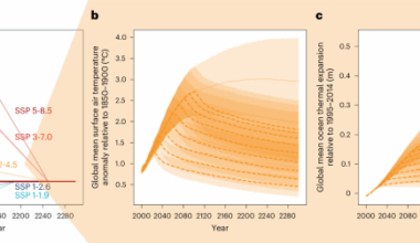 Multi-century global and regional sea-level rise commitments from cumulative greenhouse gas emissions in the coming decades