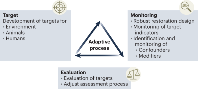Adaptive ecosystem restoration to mitigate zoonotic risks