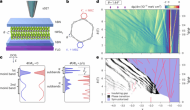 Magnetic Hofstadter cascade in a twisted semiconductor homobilayer