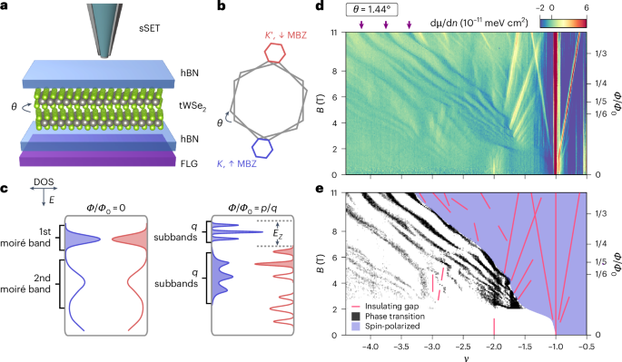 Magnetic Hofstadter cascade in a twisted semiconductor homobilayer