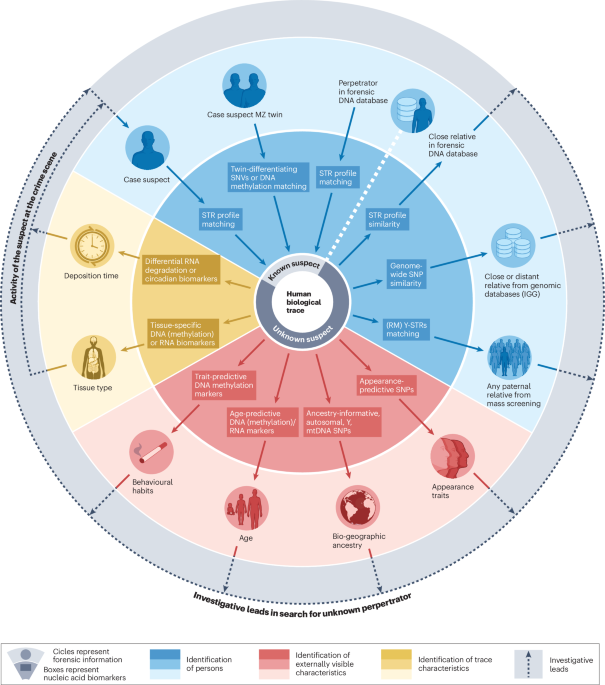Forensic genetics in the omics era