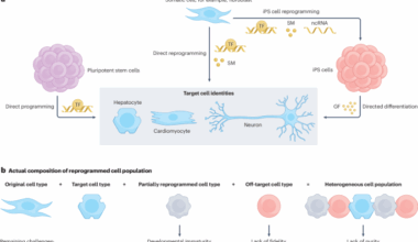 Redefining cellular reprogramming with advanced genomic technologies