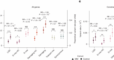 The contribution of de novo coding mutations to meningomyelocele