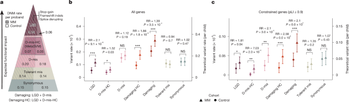 The contribution of de novo coding mutations to meningomyelocele