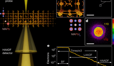 Atomically resolved edges and defects in lead halide perovskites