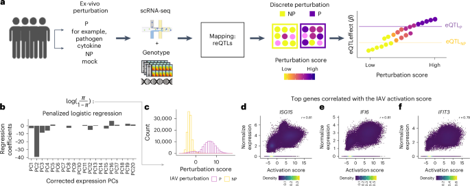 Modeling heterogeneity in single-cell perturbation states enhances detection of response eQTLs