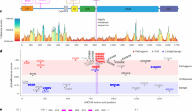 Pathogenic UNC13A variants cause a neurodevelopmental syndrome by impairing synaptic function