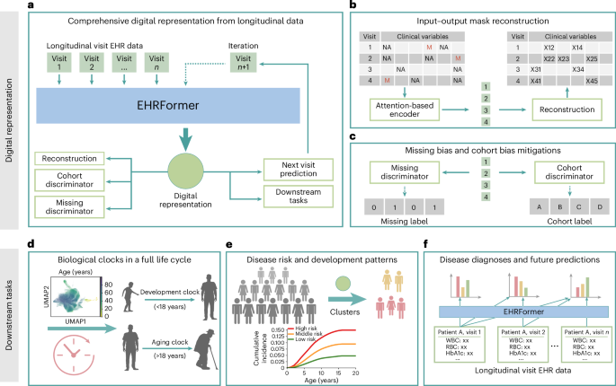 A full life cycle biological clock based on routine clinical data and its impact in health and diseases