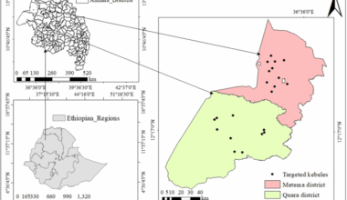 Study of ethnoveterinary medicinal plants in Metema and Quara districts, northwestern Ethiopia