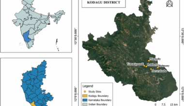 Civet Robusta and natural Robusta coffee are different on key fatty acid methyl esters and total fat