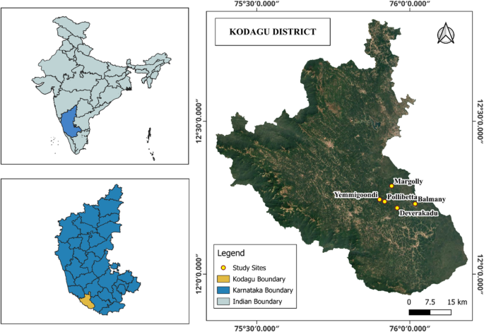 Civet Robusta and natural Robusta coffee are different on key fatty acid methyl esters and total fat