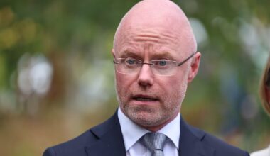 Stephen Donnelly swoops to the rescue of UK healthcare citing his triumphs in Ireland – The Irish Times