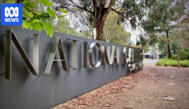 National Gallery will host APY artwork exhibition after paintings cleared of improper interference
