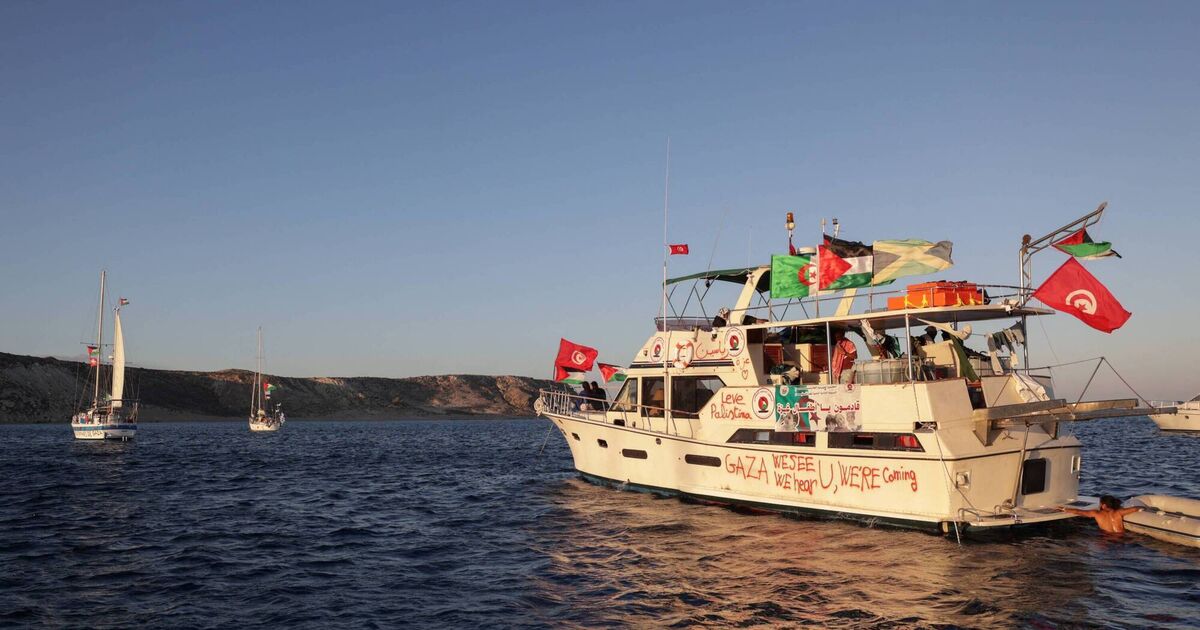 Cork grandfather on hunger strike after arrest on Gaza flotilla intercepted by Israeli forces