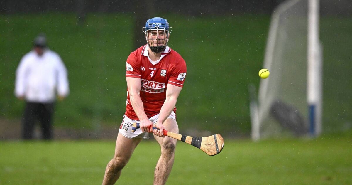 'I'm loving my hurling right now'