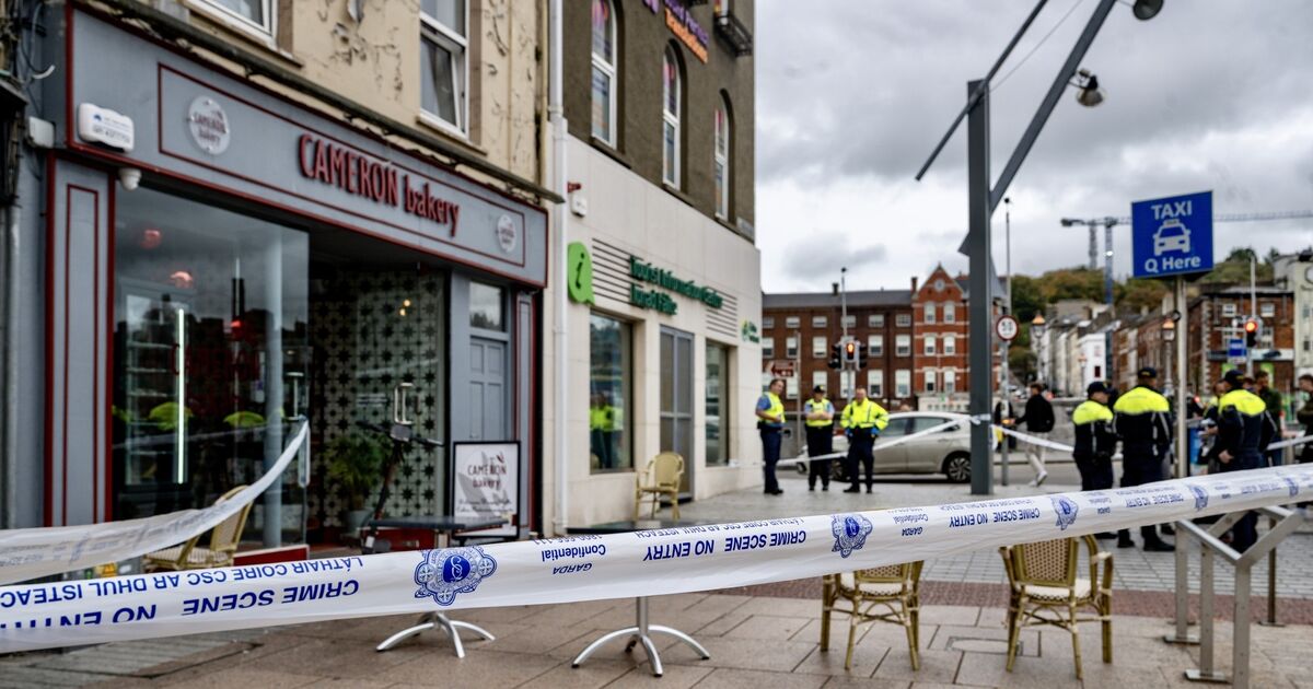 Armed gardaí investigate reported stabbing in centre of Cork City that leaves two men in hospital