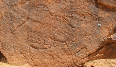 12,000-year-old carvings of animals discovered in Saudi Arabian desert