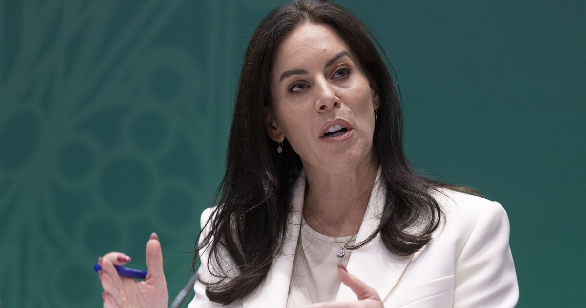 Building another hospital to tackle overcrowding in the Mid-West 'on the table', says minister