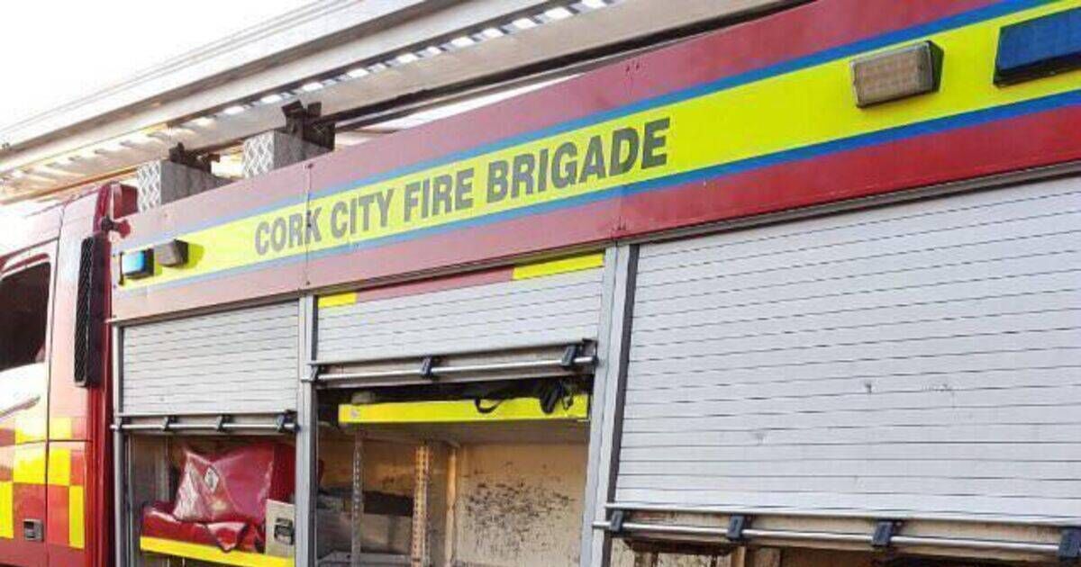 Cork shopping centre evacuated after car engine catches fire 