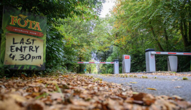 Fota Wildlife Park to remain closed as bird flu detected in four birds