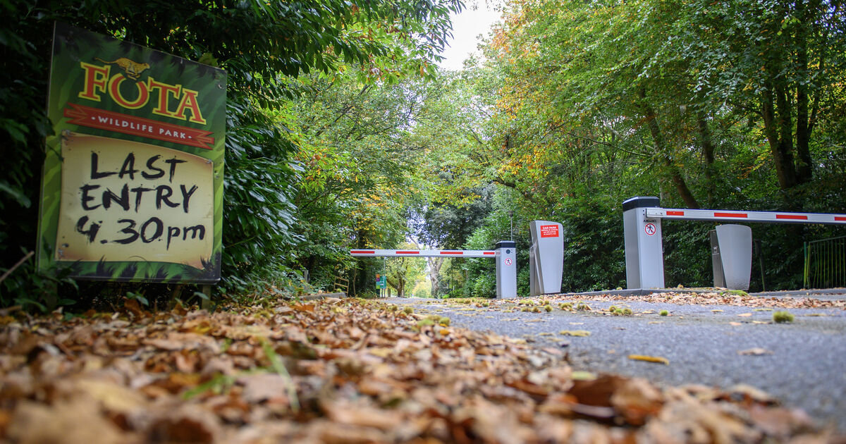 Fota Wildlife Park to remain closed as bird flu detected in four birds