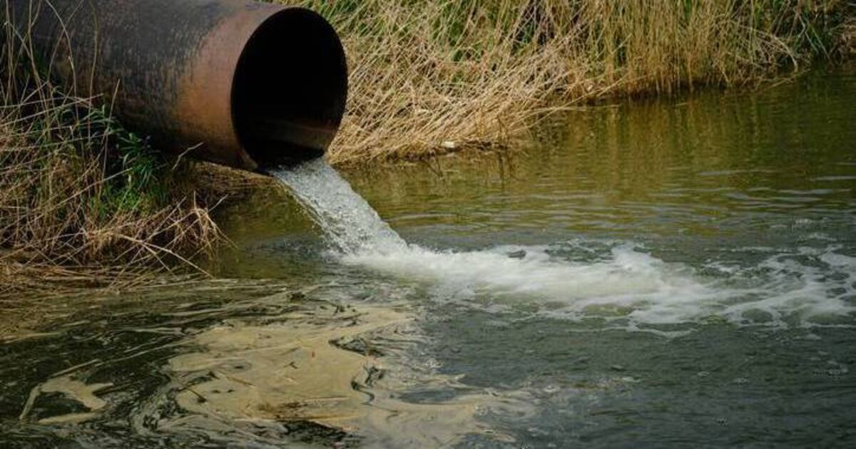 Our rivers are not the only places to have been polluted under the IFI