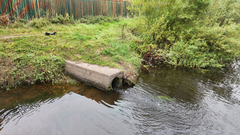 In terms of prosecuting polluters, there has been a major problem because staff were not properly sanctioned to do so. Picture: Dan Linehan