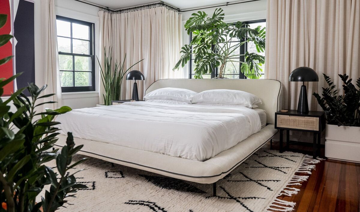 The main bedroom of Hilton Carter’s home has a selection of plant life to help with air quality and to bring colour into monochrome décor.  The main bedroom of Hilton Carter’s home has a selection of plant life to help with air quality and to bring colour into monochrome décor.