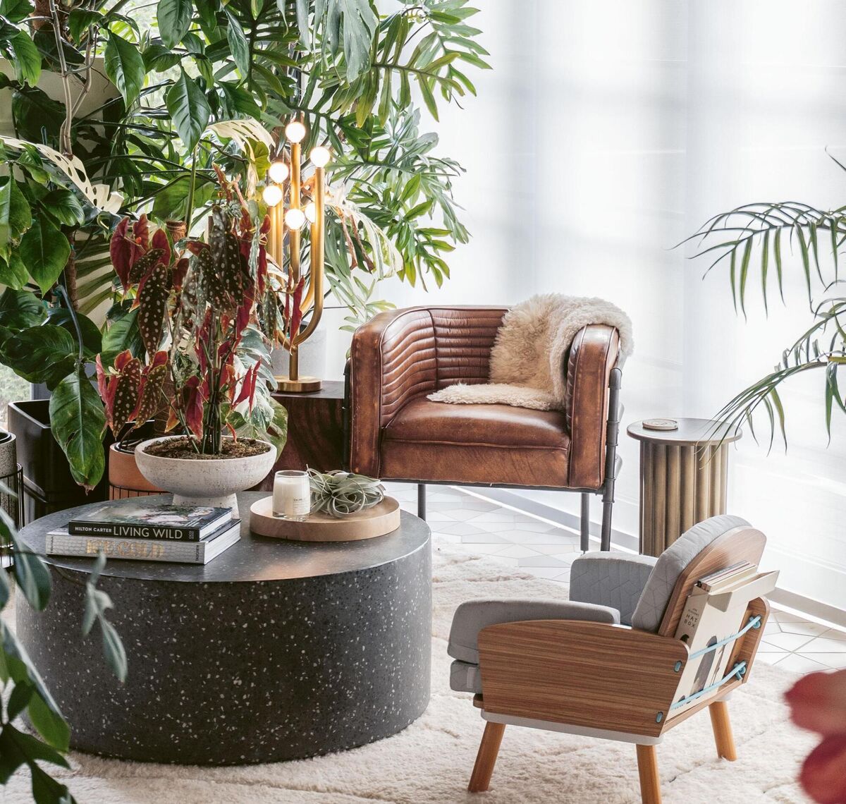 Hilton Carter’s sunroom uses plant life for texture, height and nature indoors.  Hilton Carter’s sunroom uses plant life for texture, height and nature indoors.