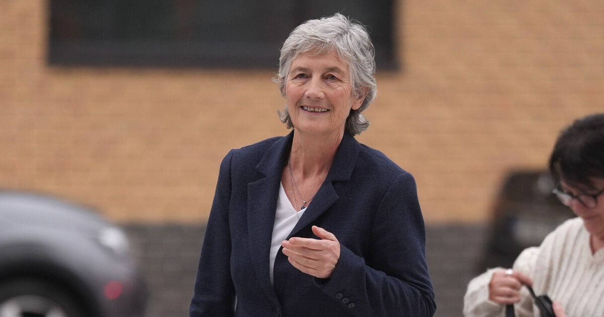 Enoch Burke confronts presidential candidate Catherine Connolly during Limerick city canvass