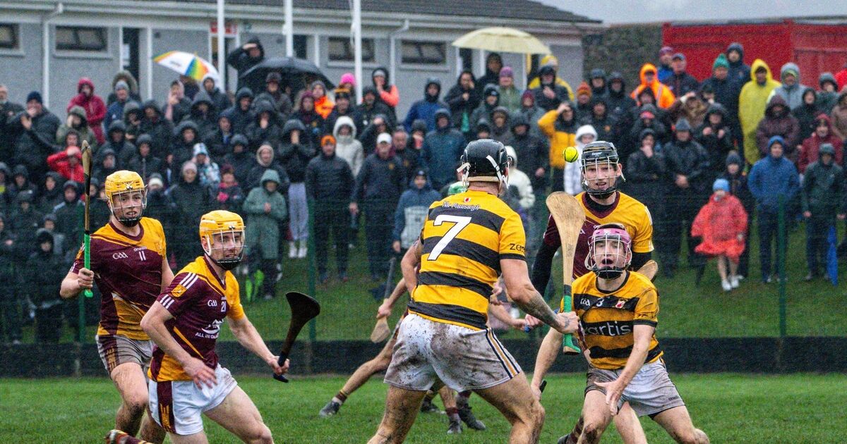 Na Piarsaigh snatch draw against Whitechurch in Seandún Junior A Hurling final