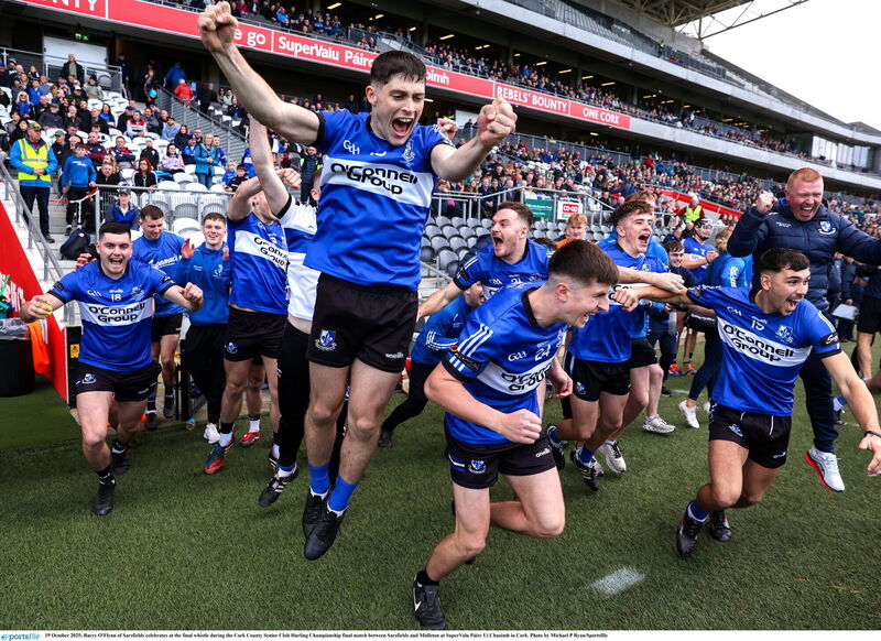 Barry O'Flynn of Sarsfields celebrates at the final whistle. Picture: Michael P Ryan/Sportsfile
