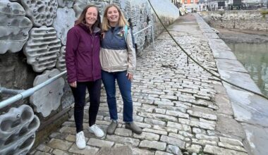 Cork scientists hope new 'Living Sea Wall' in Cobh will soon teem with many species of marine life