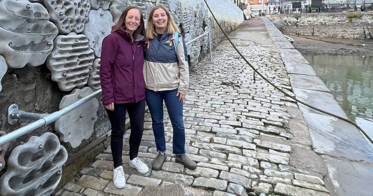 Cork scientists hope new 'Living Sea Wall' in Cobh will soon teem with many species of marine life