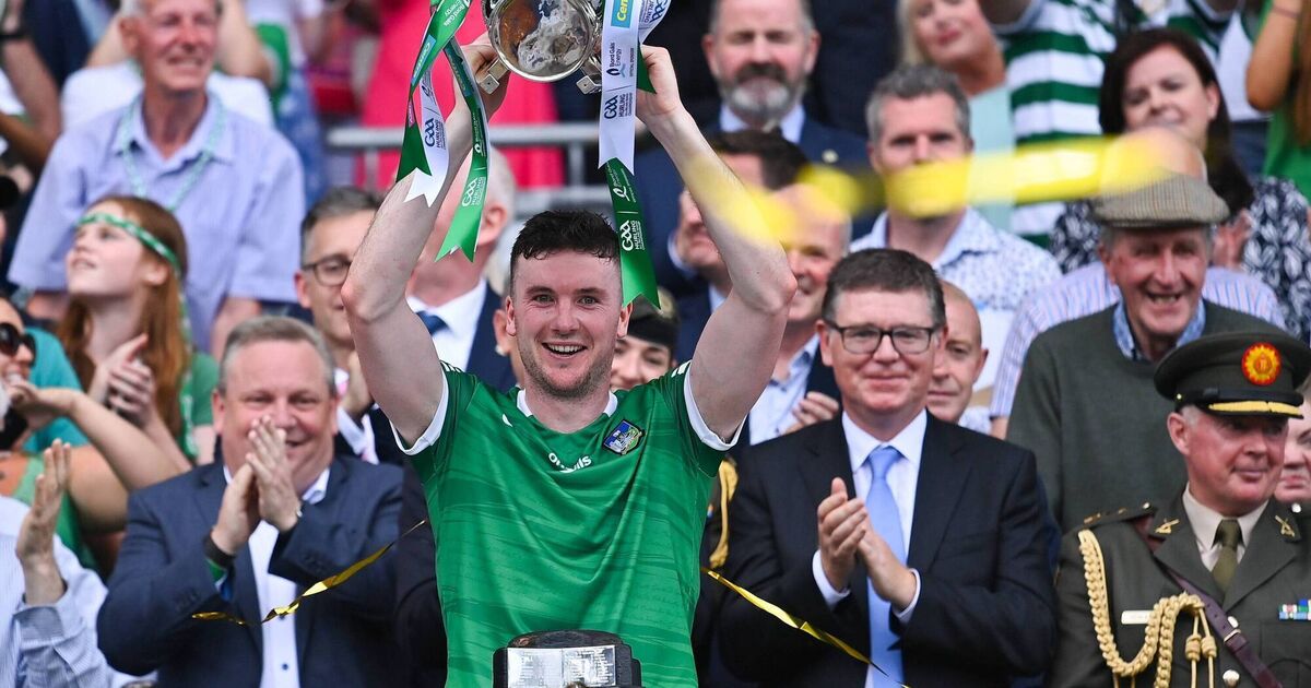 Five-time Limerick All-Ireland winner Declan Hannon retires from inter-county hurling