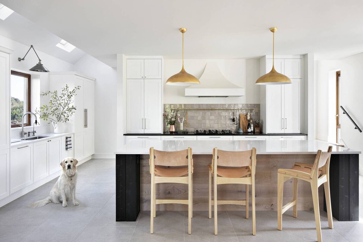 Jessica Glynn's dog Charlie photographed in her kitchen. Jessica Glynn's dog Charlie photographed in her kitchen.