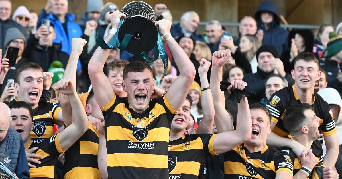 Buttevant end 99-year wait for county glory with impressive win over St Nick's