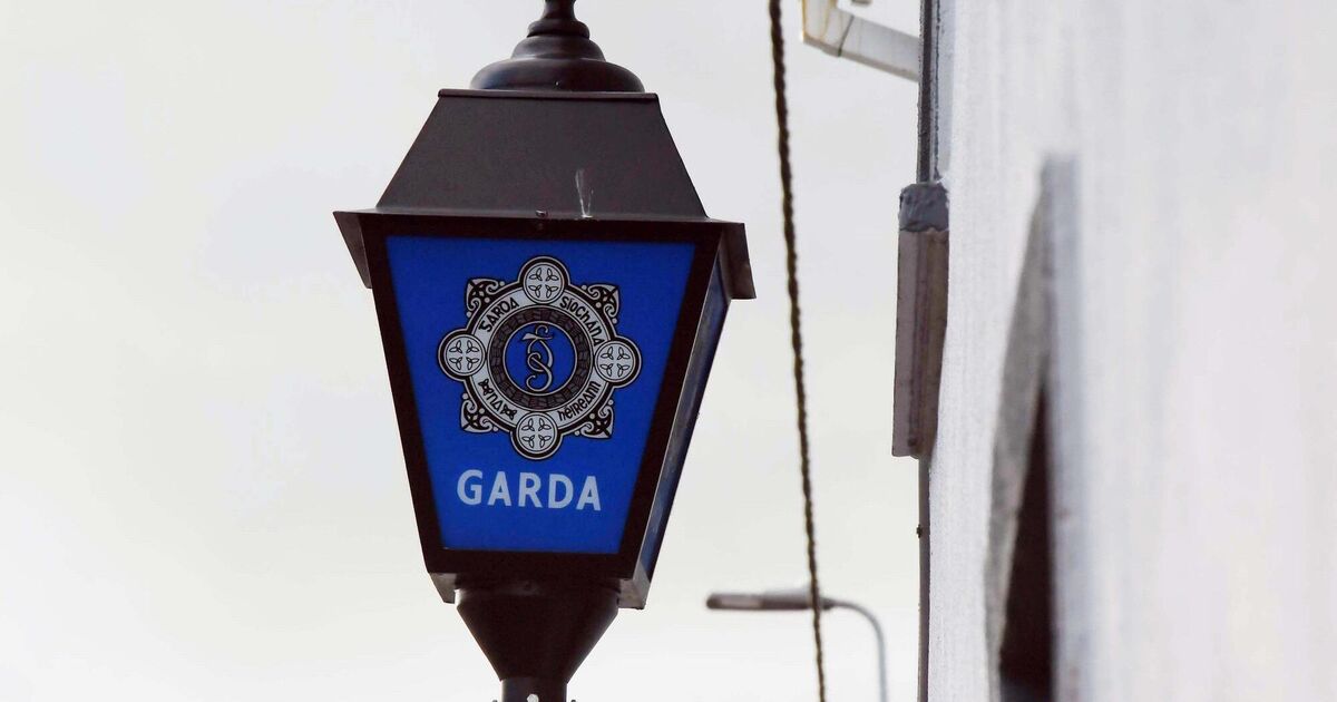 Gardaí appeal for information after two men left in serious condition following separate assaults 