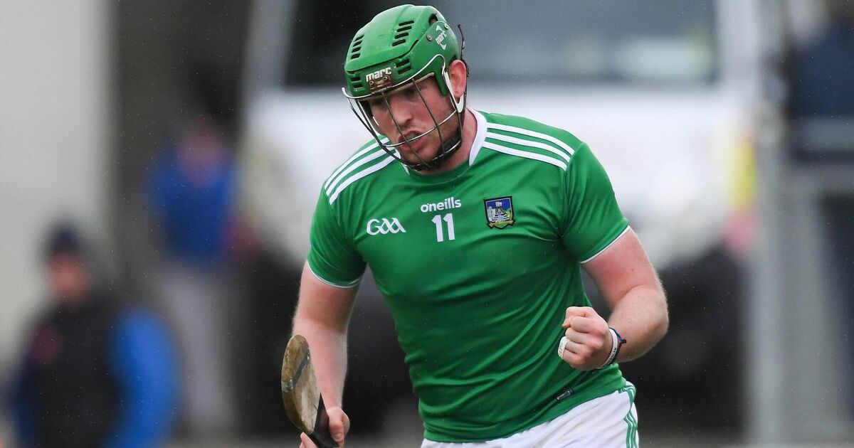 Flanagan not part of Limerick panel for 2026 as Dowling steps away