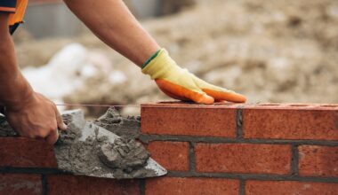 Politicians launch legal challenge to rules aimed at increasing apartment developments – The Irish Times