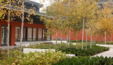 Building nature into construction is the new challenge for developers – The Irish Times