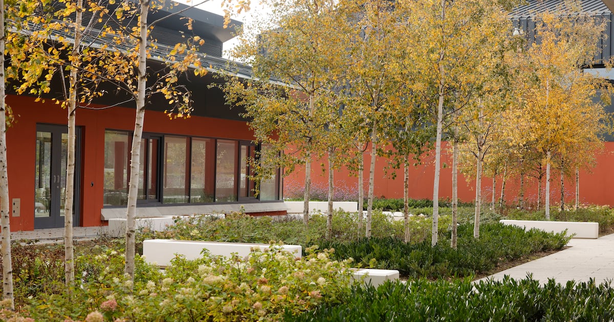 Building nature into construction is the new challenge for developers – The Irish Times